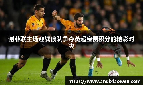 谢菲联主场迎战狼队争夺英超宝贵积分的精彩对决