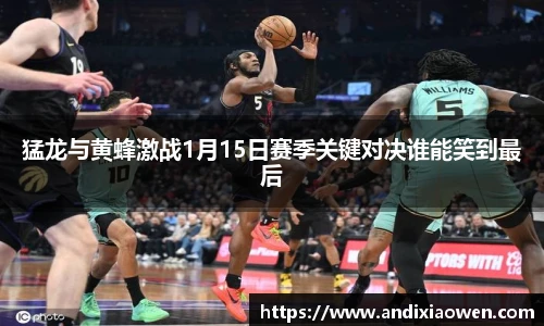 完美体育官网