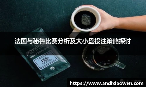 法国与秘鲁比赛分析及大小盘投注策略探讨